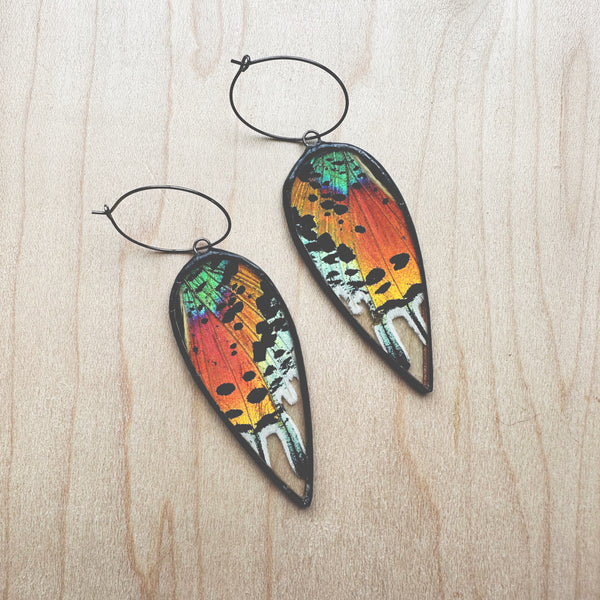 Large Teardrop Rainbow Sunset Moth Earrings