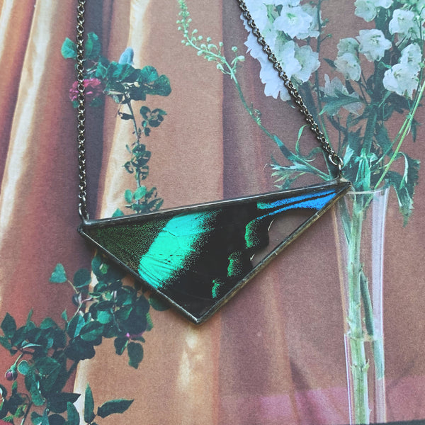 Peacock Swallowtail Scalene Triangle