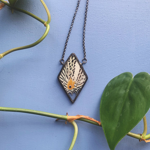 Amazon Beauty Diamond