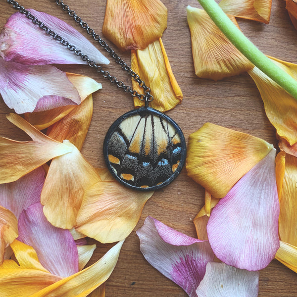 Tiger Swallowtail Circle Pendant