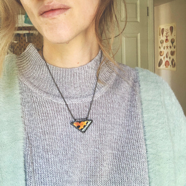 Rainbow Sunset Moth Triangle