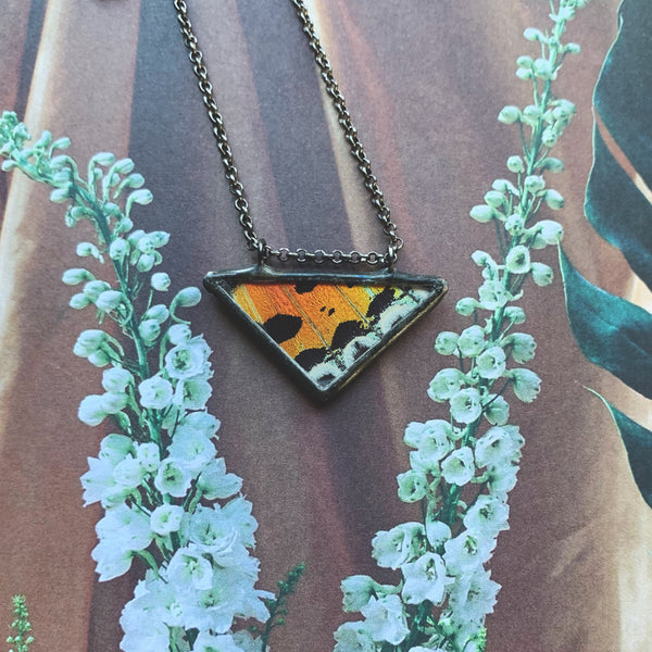 Rainbow Sunset Moth Triangle