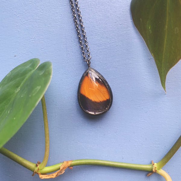 Eunica Yellow and Orange Teardrop
