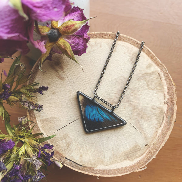 Shaded Blue Leafwing Triangle
