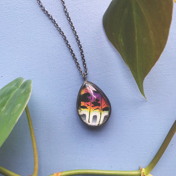 Bright Pink Rainbow Sunset Moth Teardrop