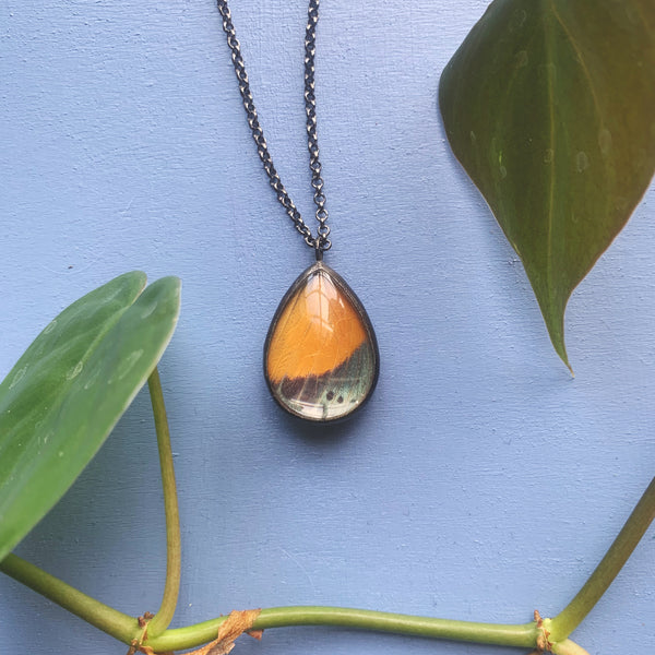 Eunica Yellow and Orange Teardrop