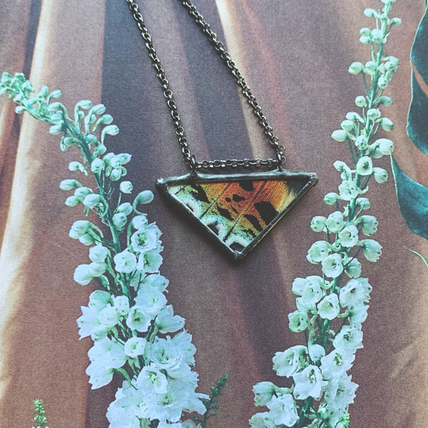 Rainbow Sunset Moth Triangle