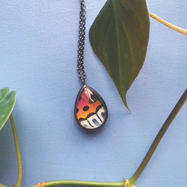 Bright Pink Rainbow Sunset Moth Teardrop