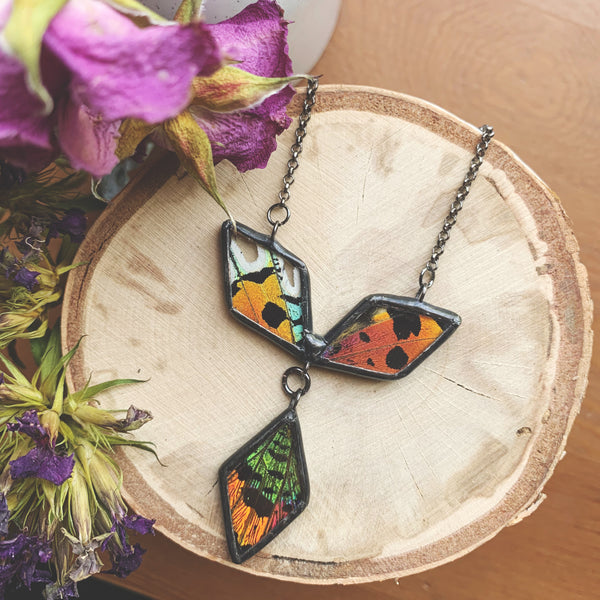 Rainbow Sunset Moth Lotus Diamond