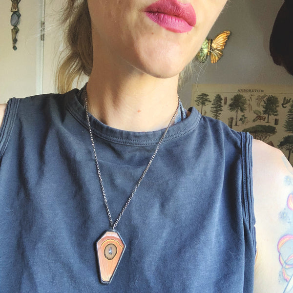 RARE Guatemalan Pink Saturn Moth Coffin