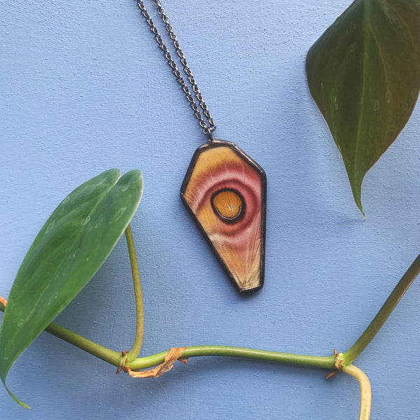 Madagascan Bullseye Moth Coffin - RARE