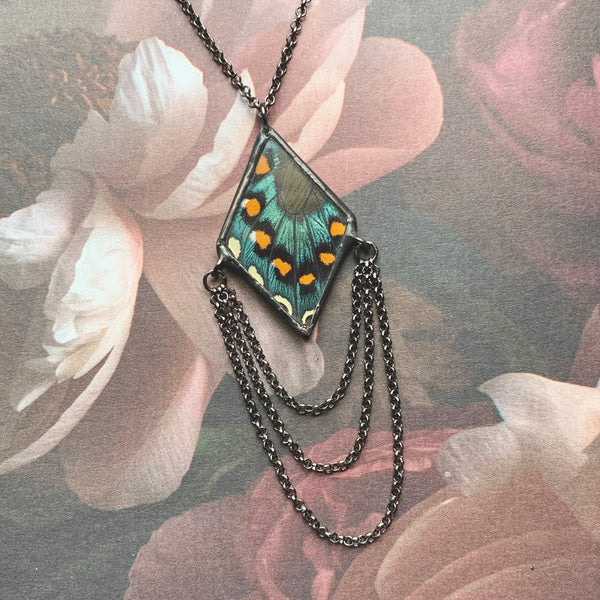 Pipevine Swallowtail Dripping Diamond