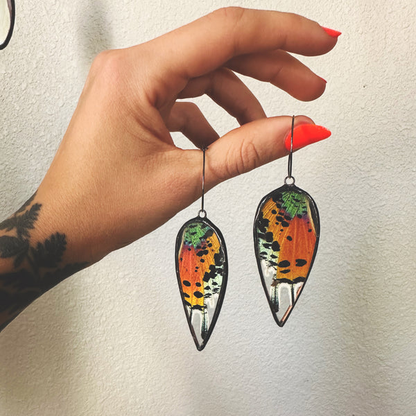 Large Teardrop Rainbow Sunset Moth Earrings