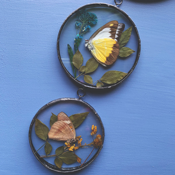 Butterfly Garden Portal Mirror Wall Hanger
