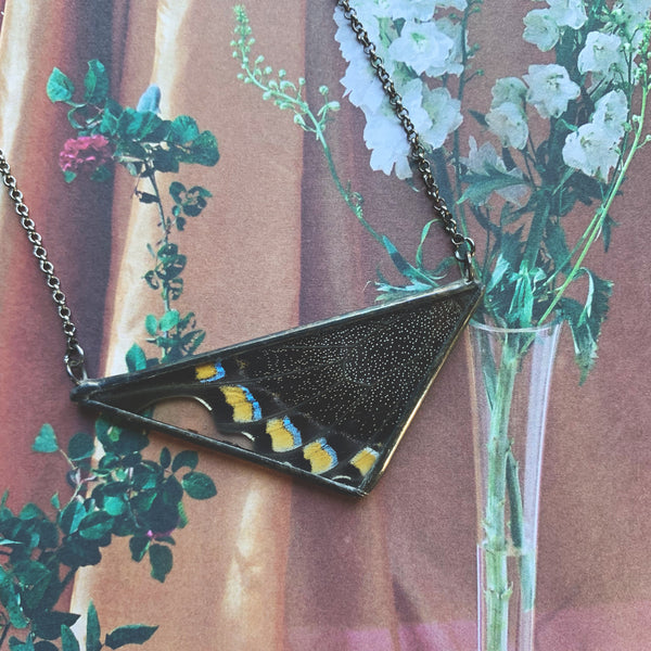 Peacock Swallowtail Scalene Triangle
