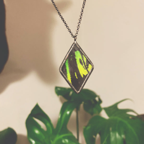 Birdwing Diamond - Medium